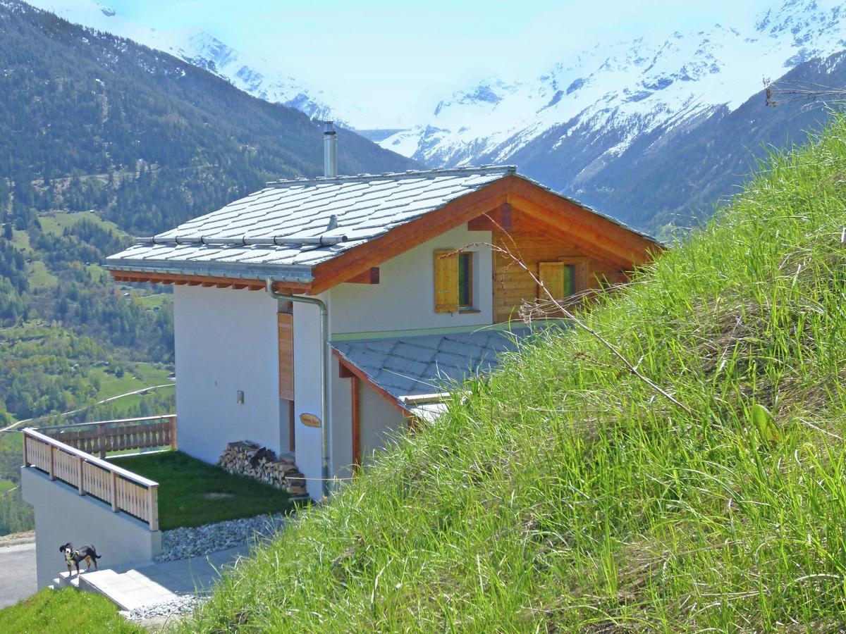 Mountain-View Chalet In Heremence With Terrace Eksteriør billede